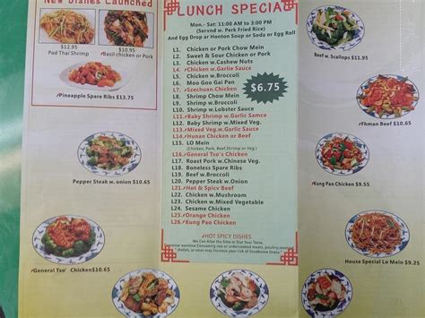 china wok cape coral menu.